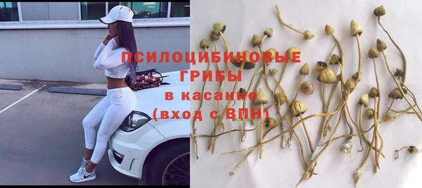 метадон Армянск