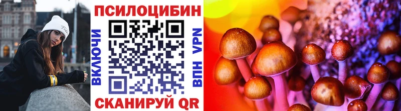 Псилоцибиновые грибы мицелий  Павловская 